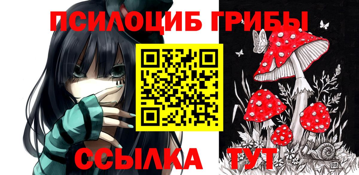 Галлюциногенные грибы мухоморы  Галлюциногенные грибы мицелий  Михайловск  Вход с VPN 