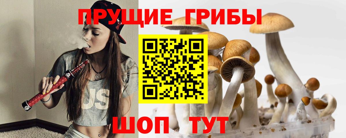 Галлюциногенные грибы Cubensis Михайловск